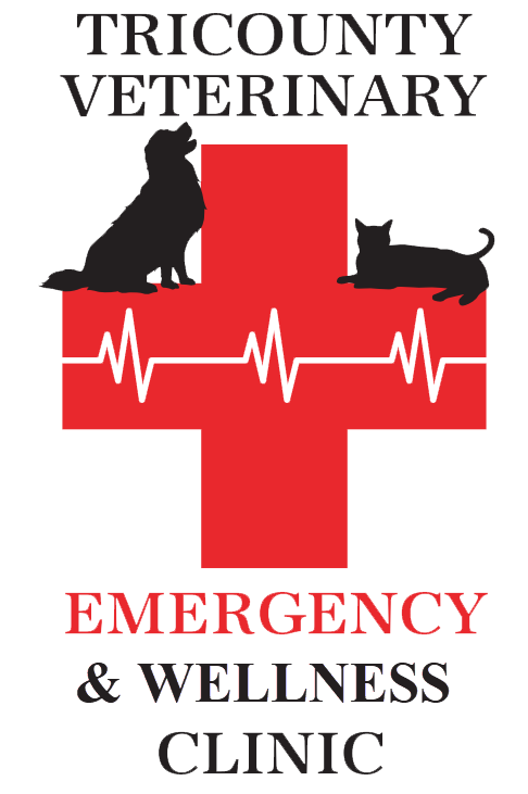 Tricounty Logo With Wellness