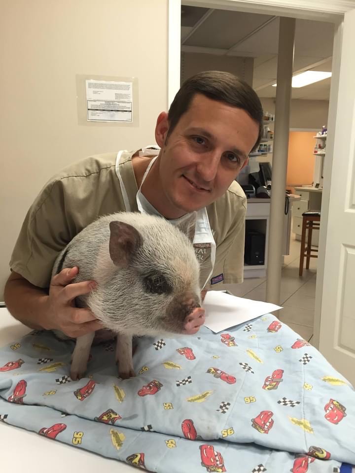 Dr Heirs with pig 